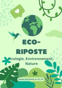 Eco Riposte