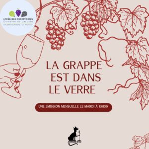 La grappe est dans le verre