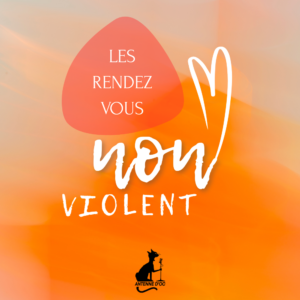 Les RDV NonViolent