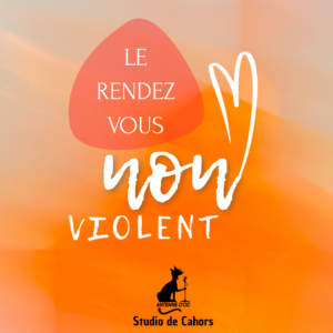 Le RDV NonViolent