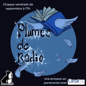 Plumes de Radio